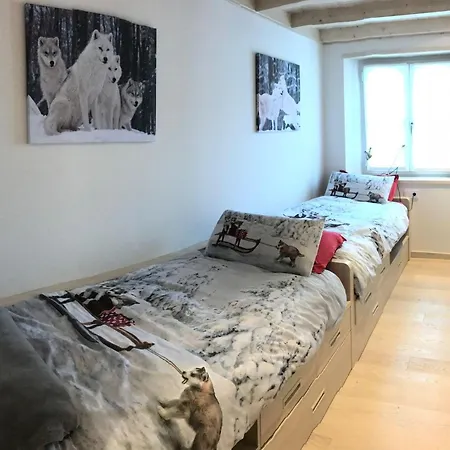 Apartman Ruda Always